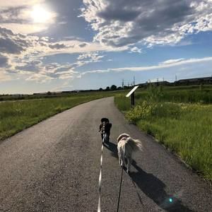 Meet your Posher, Selena